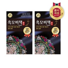 리엔 흑모비책 골드 염색약 90gx2개 흑색, 2개