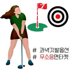 붐스포츠아이언