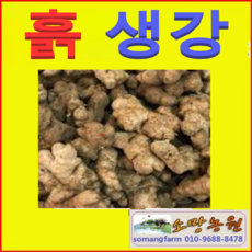 (소망)생강(1kg)/흙생강/경북 영주산 산지직송, 1개