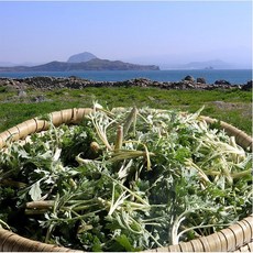 비진도 노지 햇쑥 산지직송, 1개, 햇쑥 500g