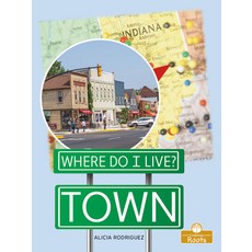 (영문도서) Town Paperback, Crabtree Roots, English, 9781427160096