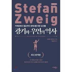 광기의역사