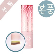 조성아슈퍼핏필업스틱