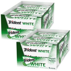 Trident White Spearmint Sugar Free Gum 트리덴트 화이트 스피아민트 무설탕껌 16개입 9팩+9팩, 18팩