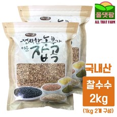 현대농산국산찰수수2kg