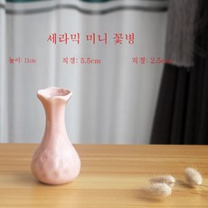 수경식물화병