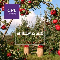 사과프래그런스오일