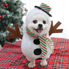 강아지눈사람옷