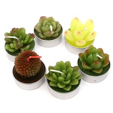 다육이양초 6개 세트 3.5cm G-01-001