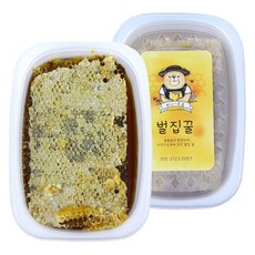 허니브로 벌집꿀 벌꿀집 간편팩 500g, 단품