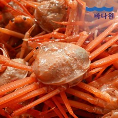 [산지직송]2024 햇 구룡포 연지 홍게 실속 3kg(10-12미)내외, 1개