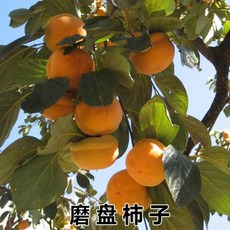62b78f042bab6d82143c4c957001ef14c690ff7b7d989d2d3eca943bebc5.jpg
