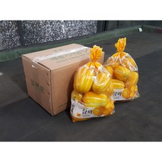 성주 꿀 참외 당도 보장 산지직송 5kg, 1박스, 성주참외 5kg 대과