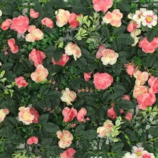 df9d6a8455ae269fa289188dc561114f5066743ec5856fe9e9b9eabb75c4.jpg