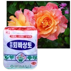 장미상토 2.5L 2개 뿌리자극제 잔디 퇴비 조경용 텃밭 상토 관엽식물 흙 배양토 분갈이