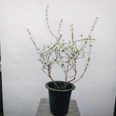 29e334b45180cb20e59e4ee8607de6fb4aad711ab3c1c600d11e2cecc3fc.jpg