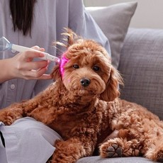 이어펫 LED 펫 귀염증 귀질환 개선 관리기 반려동물 귀질환 피부질환 LED 동물의료기기 이어케어 강아지 고양이 아토피 알레르기 피부가려움 귓병 완화 LED 관리기 중이염 외이염