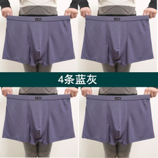 daiz남자팬티