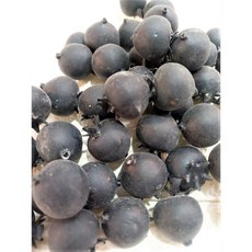 48~50입 블루베리 모형 -인조 과일 과일 모형