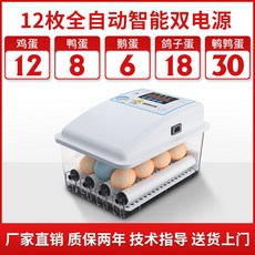 새 오리 메추리 병아리 자동 부화기 12구부터 64구, 12개 전기인큐베이터