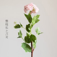 f43d611f996dc41b6facb77f4d44ac92049c7f72ae06a9c4117ec1148f2f.jpg