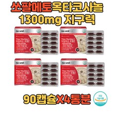시골청년