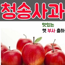 //상품명