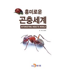 곤충의세계