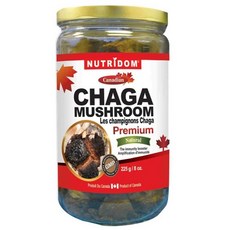 NUTRIDOM 차가버섯 Chaga Mushroom 225g, 1개