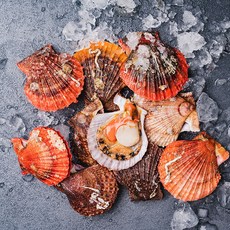 롯데마트가리비