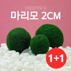 c8642233d1d2e0572b4837c41e4bda286c994e201bb219dce8bf6e24eb96.jpg