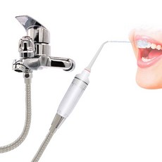 샤워기구강세정기
