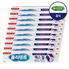 [대용량] 폴리덴트 맥스씰 의치 부착재  X10개