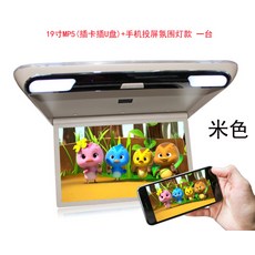 카니발천장tv19인치