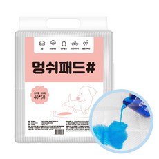 40 실속형 120매 배변패드 멍쉬패드 50cm(1개입) x EA50325617ea mpl*10412Sz, 1, 120개 - 멍쉬패드