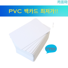 백카드 PVC 공카드 100매 사원증 학생증 출입증 포토카드 굿즈제작 주차증