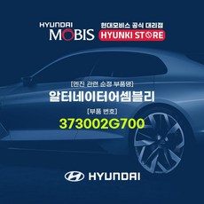 알터보강