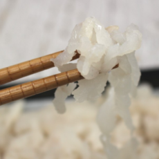 국내산 아나고회 1kg 장어 산지직송 자연산, 1개