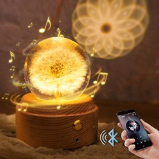 하포드단델리온