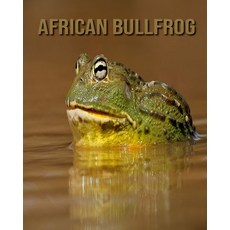 African Bullfrog: Children's Books --- Beautiful Pictures & Interesting Facts Children Book About Af... Paperback, Independently Published
