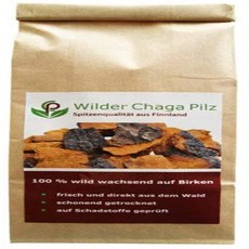 라플란드 (핀란드)의 Chaga Vital 버섯-대형 조각 100g ( 6 주)