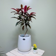 af85bd8b9d967d6df491c4ab3d85aca1bec723619793a409b98407b39ff7.jpg
