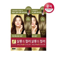 엘라스틴 엘라스틴 살롱 드 컬러 애쉬브라운 염색약 100g x2개, free, 사방넷 옵션