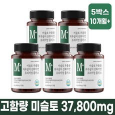 추천9 미슬토