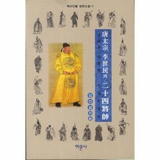 당태종평전