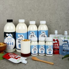 부산요트타다