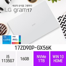 LG 2021 그램17 17ZD90P-GX56K [입고완료 / 오늘출발], 16GB, 1TB, 윈도우 포함