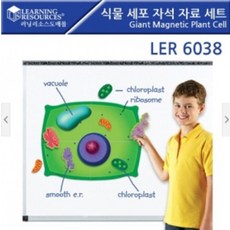 러닝리소스보석발굴