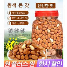 1+1 백년 수령 홍송 잣 500g 수입잣 단백질 보충 건과 알알이 포동포동, 2캔 총중량 500g, 2개