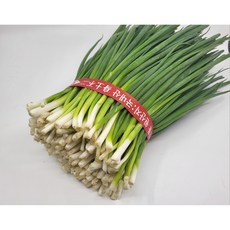 [다듬은실파] 실파 잔파 쪽파 깐쪽파 반값, 1kg, 1개
